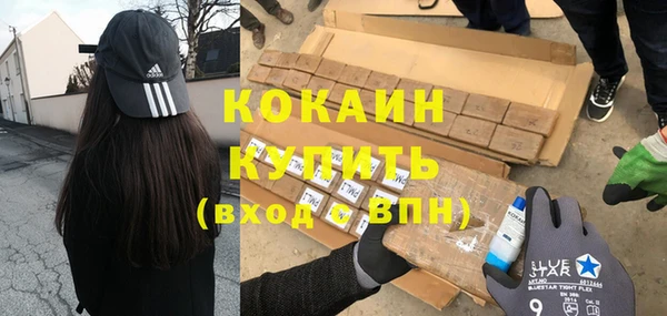 apvp Вяземский
