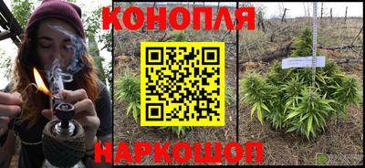 гидра Нальчик
