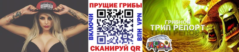 купить   Петропавловск-Камчатский  Псилоцибиновые грибы мухоморы 