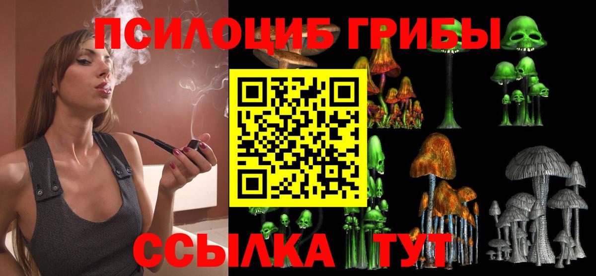 Псилоцибиновые грибы MAGIC MUSHROOMS Петропавловск-Камчатский
